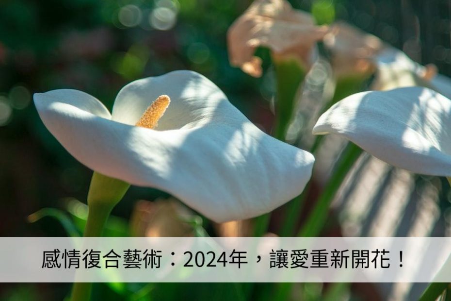 感情復合藝術：2024年讓愛重新開花！